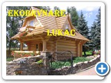 257. MODELI 2017