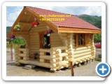 277. MODELI 2017